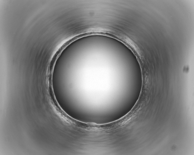 X0000094071124200711021503