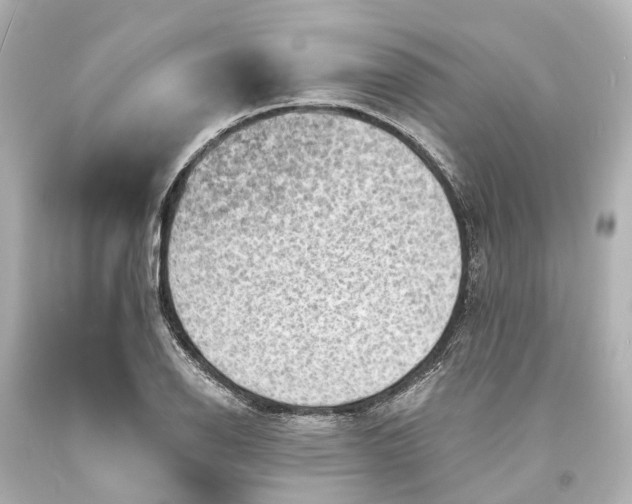 X0000094071126200711021503