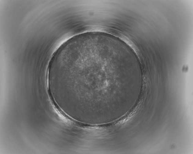 X0000094071127200711021503
