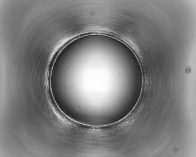 X0000094071128200711021503