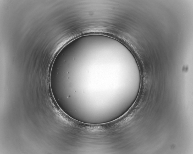 X0000094071129200711021503
