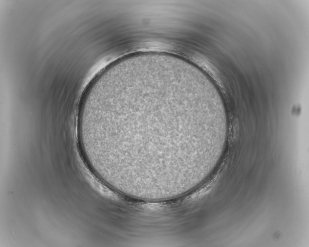 X0000094071130200711021503
