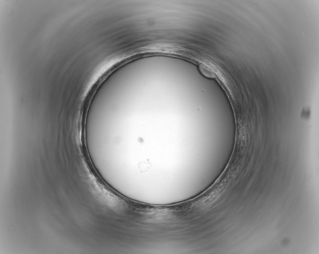 X0000094071131200711021503