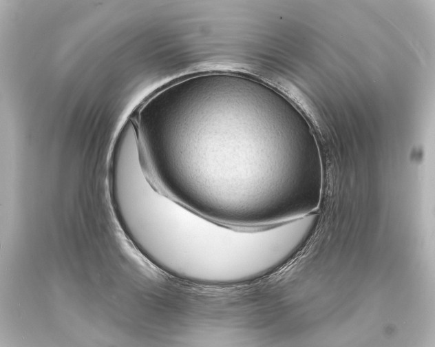 X0000094071132200711021503
