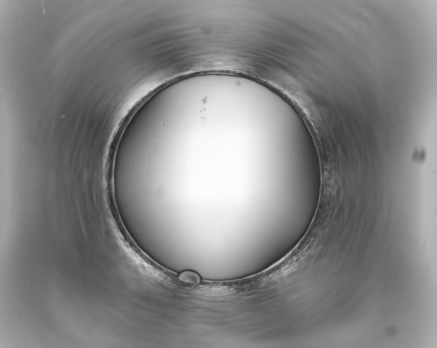X0000094071135200711021503