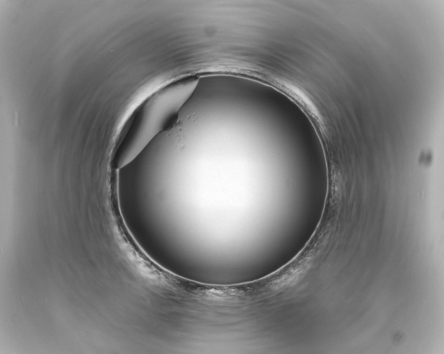 X0000094071138200711021503