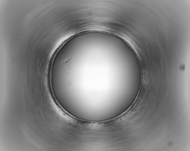 X0000094071139200711021503