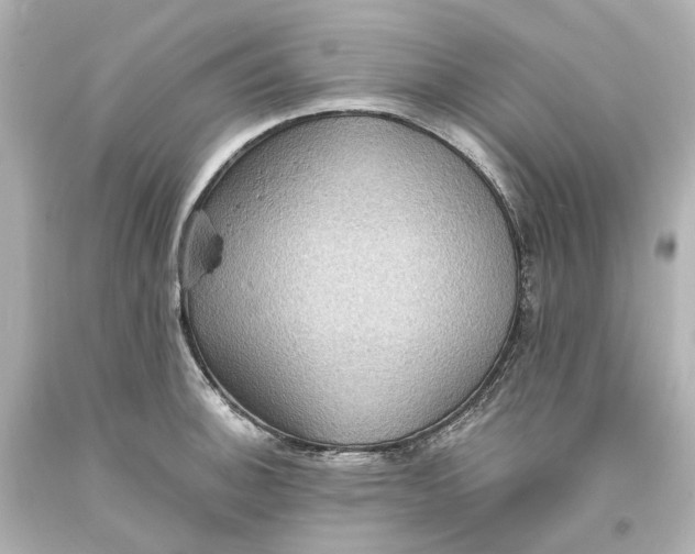 X0000094071140200711021503