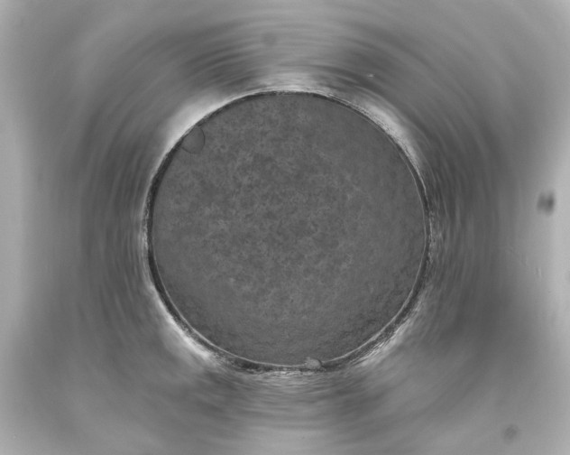 X0000094071141200711021503