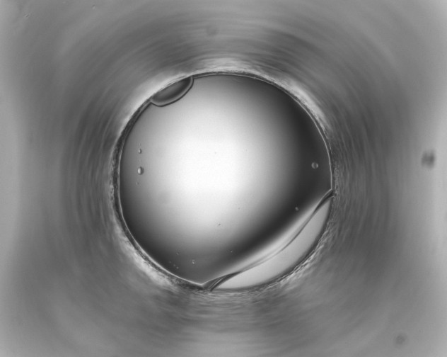 X0000094071142200711021503