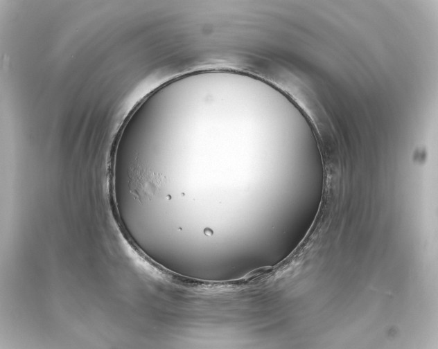 X0000094071143200711021503