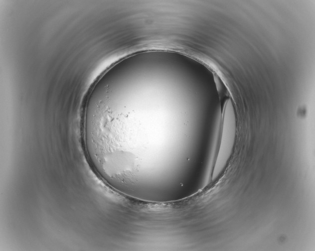 X0000094071147200711021503