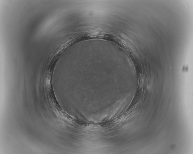 X0000094071154200711021503