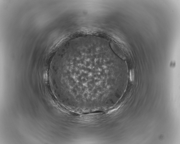 X0000094071155200711021503