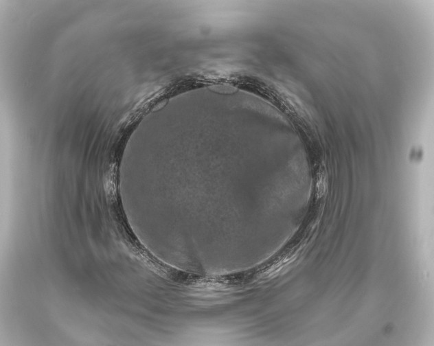 X0000094071156200711021503