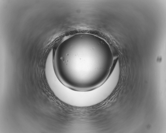 X0000094071157200711021503