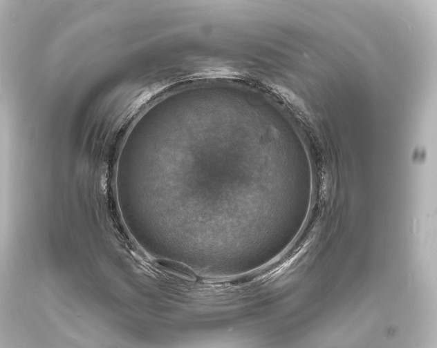X0000094071161200711021503