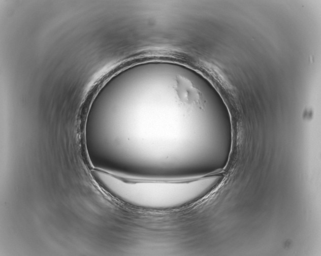 X0000094071164200711021503
