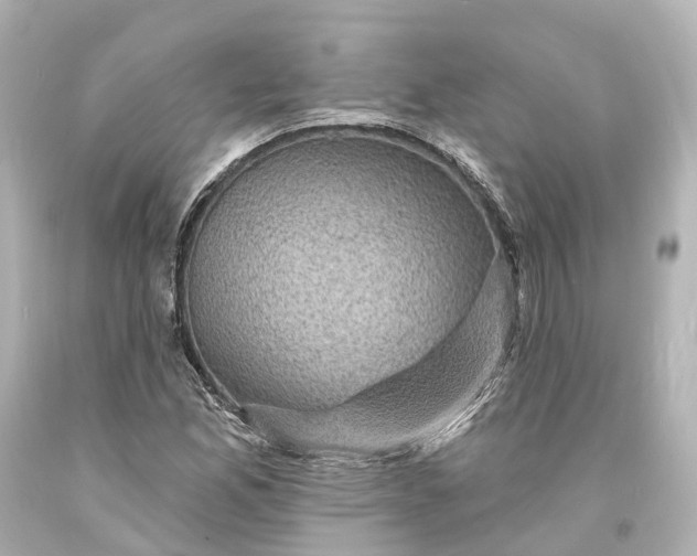 X0000094071165200711021502