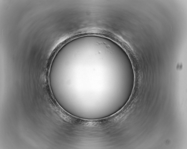 X0000094071166200711021502