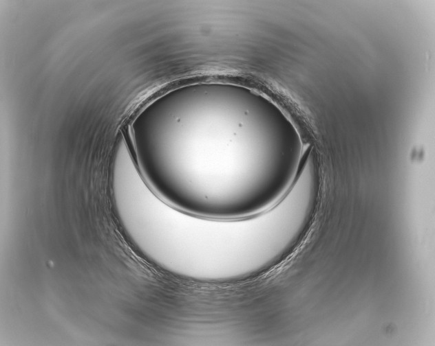 X0000094071169200711021502