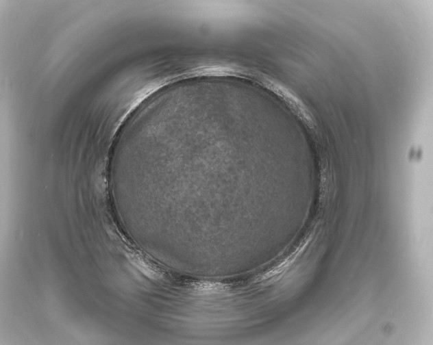 X0000094071170200711021502