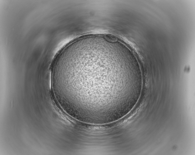 X0000094071171200711021502