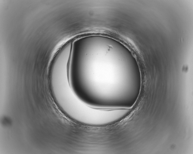 X0000094071172200711021502