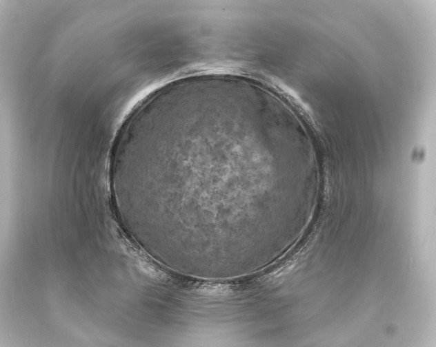 X0000094071174200711021502