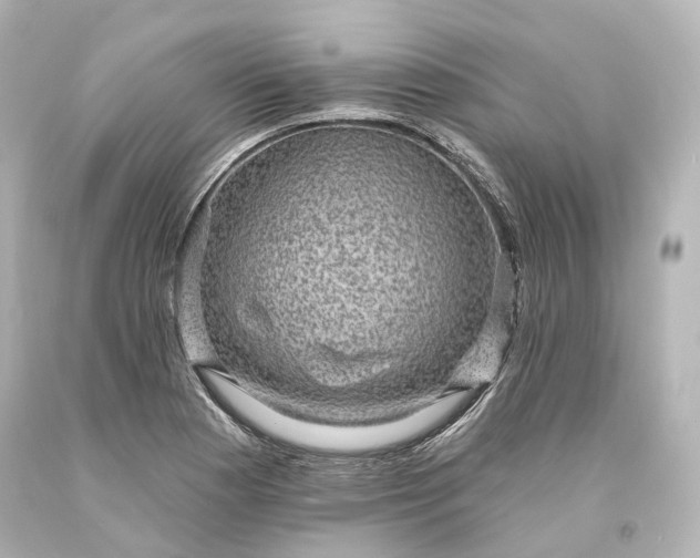 X0000094071177200711021502