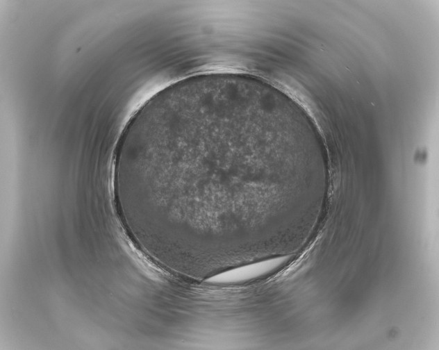 X0000094071179200711021502