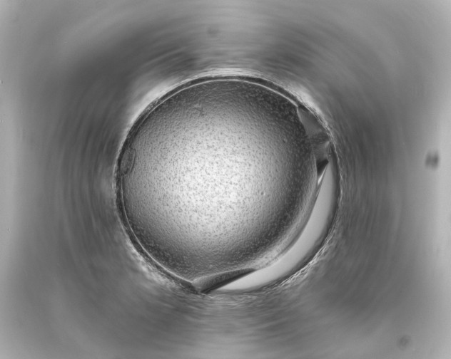 X0000094071181200711021502