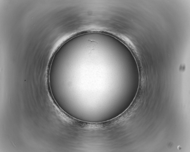 X0000094071183200711021502