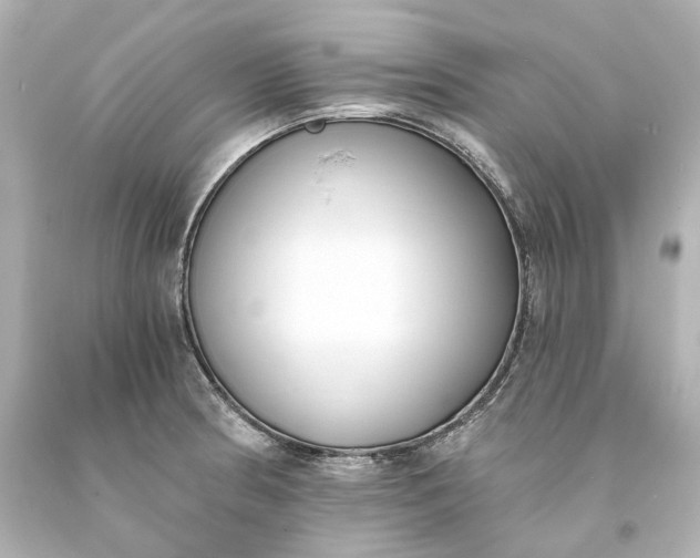 X0000094071186200711021502