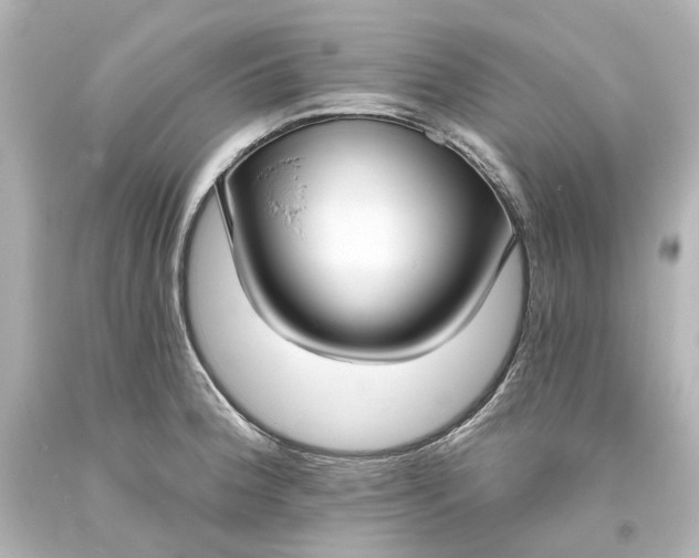 X0000094071188200711021502