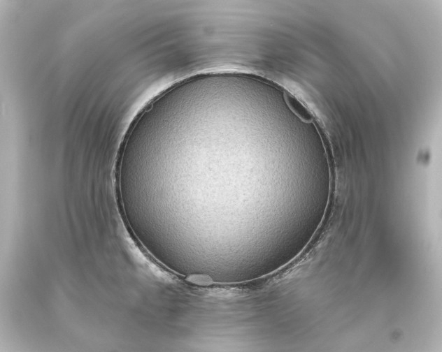 X0000094071189200711021502