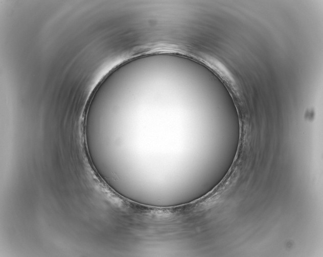 X0000094071190200711021502