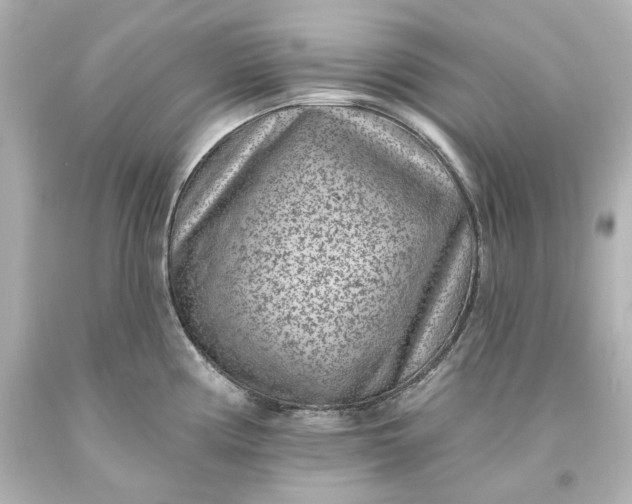 X0000094071194200711021502
