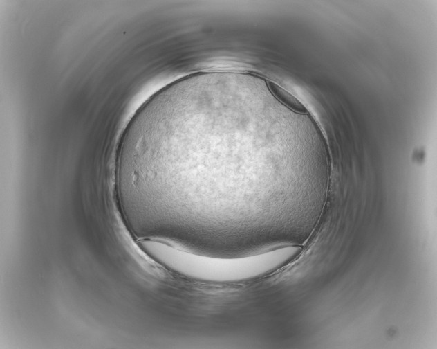 X0000094071195200711021502