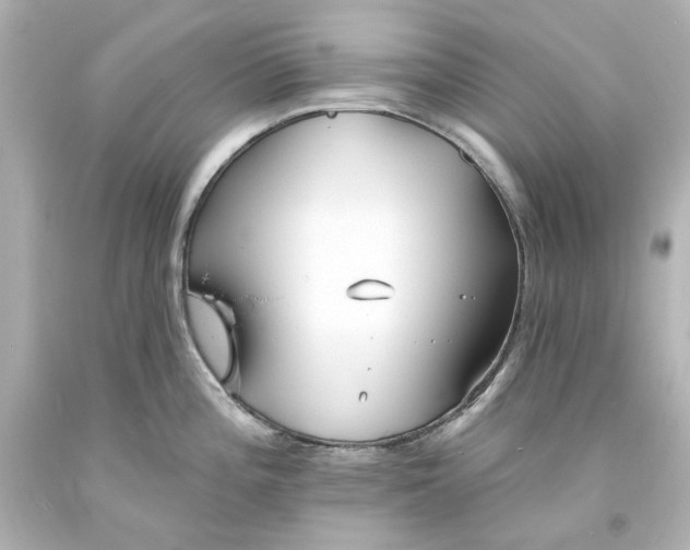X0000094071196200711021502