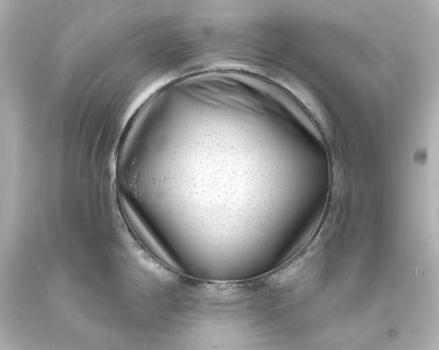 X0000094071198200711021502
