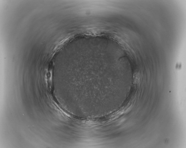 X0000094071202200711021501