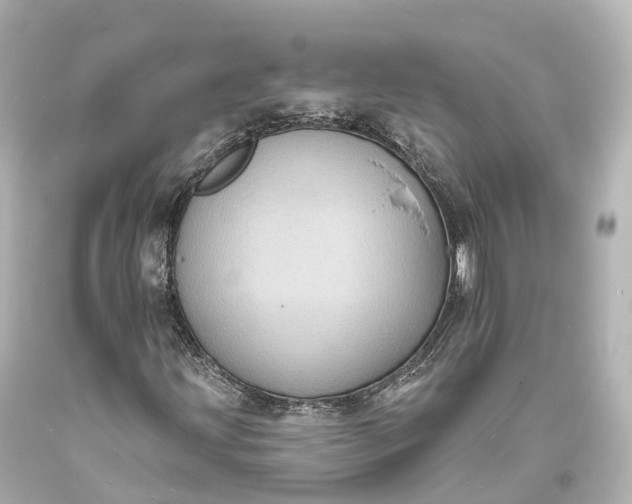 X0000094071203200711021501