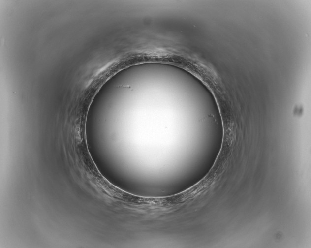 X0000094071205200711021501