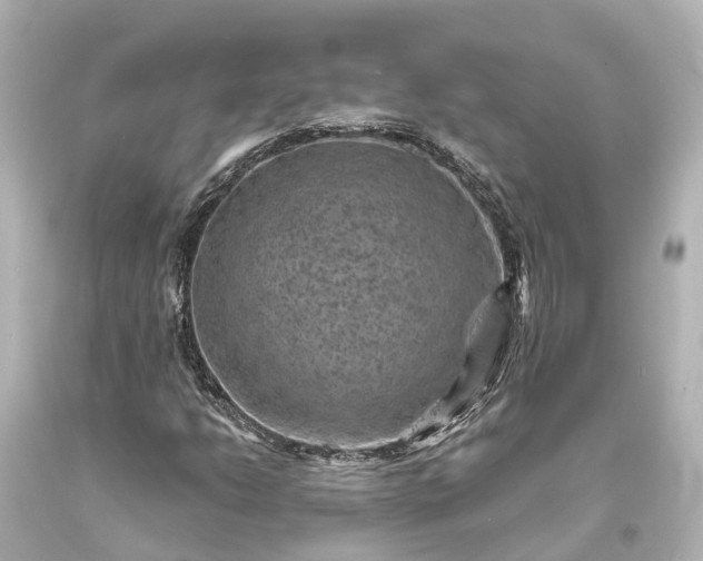 X0000094071206200711021501