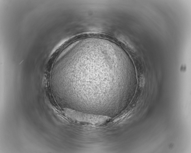 X0000094071208200711021501