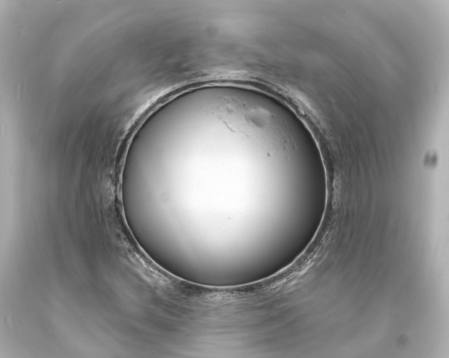 X0000094071212200711021501