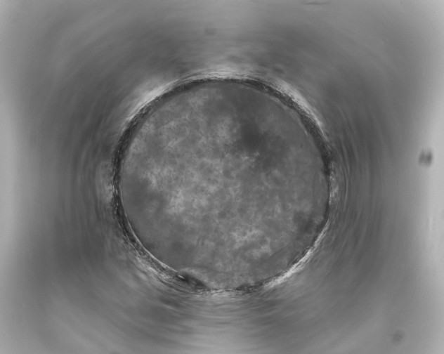 X0000094071213200711021501