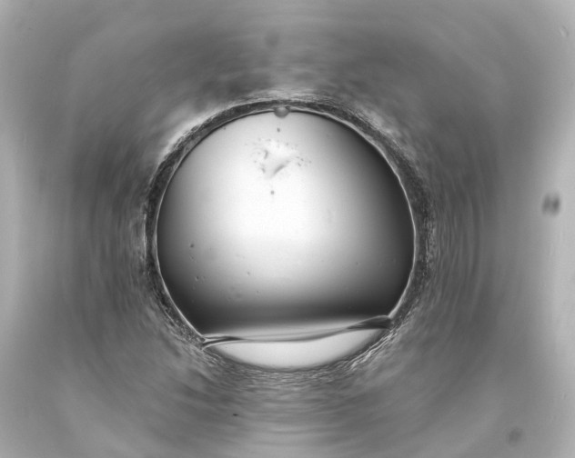 X0000094071214200711021501