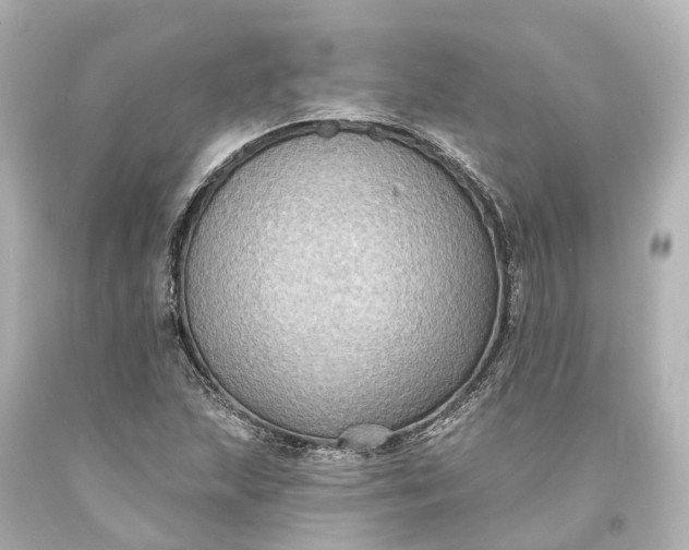 X0000094071215200711021501